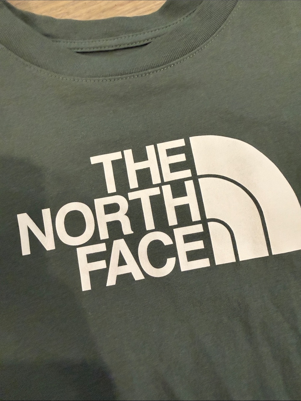 The North Face Forest Green Logo Tee - Picture 3 of 4